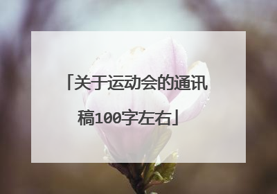 关于运动会的通讯稿100字左右