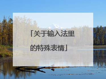 关于输入法里的特殊表情