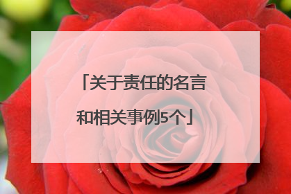 关于责任的名言和相关事例5个