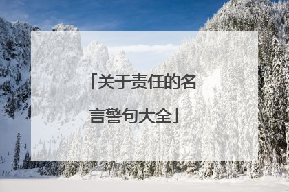 关于责任的名言警句大全