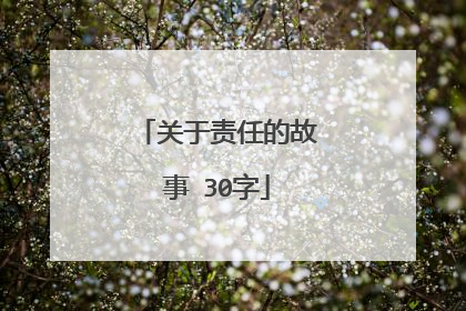 关于责任的故事 30字