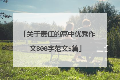 关于责任的高中优秀作文800字范文5篇