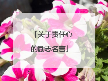 关于责任心的励志名言