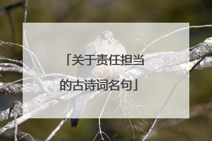 关于责任担当的古诗词名句
