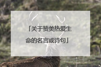 关于赞美热爱生命的名言或诗句