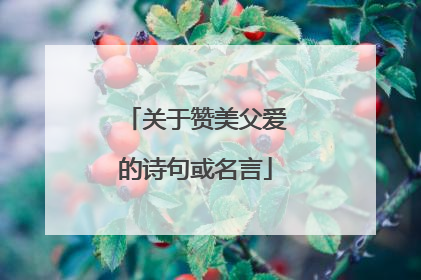 关于赞美父爱的诗句或名言