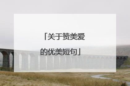 关于赞美爱的优美短句