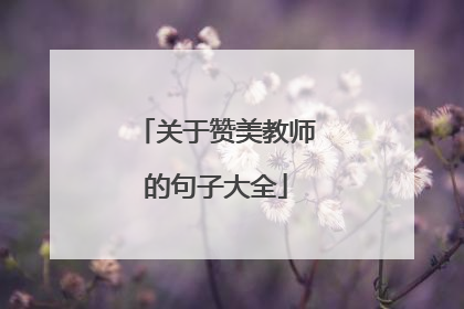 关于赞美教师的句子大全