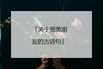 关于赞美朋友的古诗句