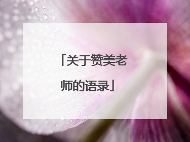 关于赞美老师的语录