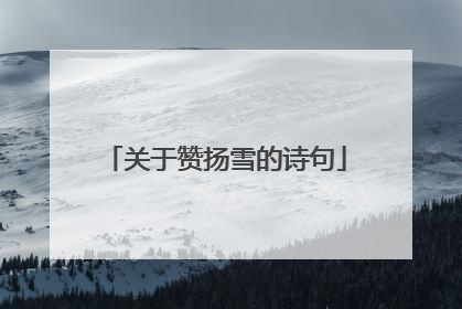 关于赞扬雪的诗句