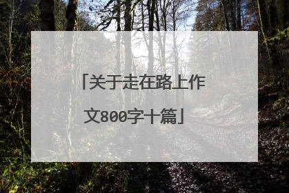 关于走在路上作文800字十篇