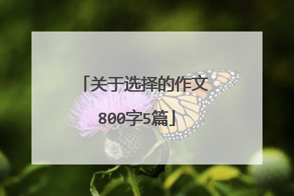 关于选择的作文800字5篇