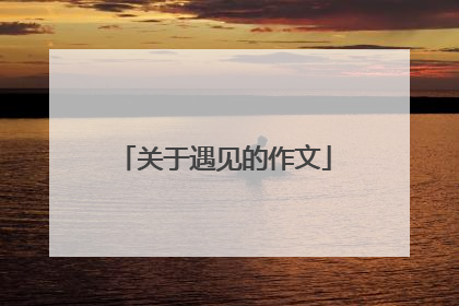 关于遇见的作文