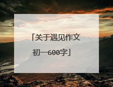 关于遇见作文初一600字