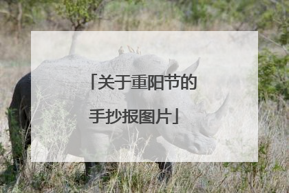关于重阳节的手抄报图片