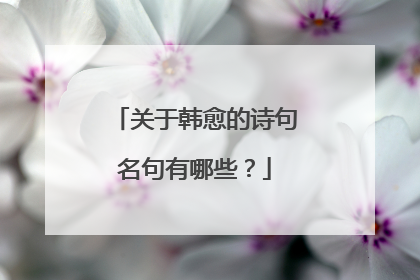 关于韩愈的诗句名句有哪些？