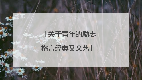 关于青年的励志格言经典又文艺