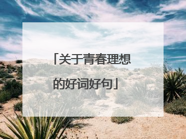 关于青春理想的好词好句