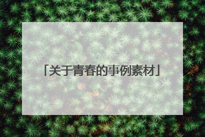 关于青春的事例素材
