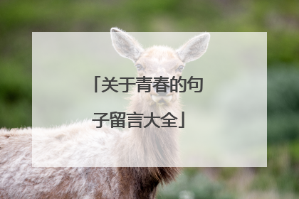 关于青春的句子留言大全