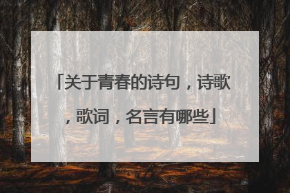 关于青春的诗句,诗歌,歌词,名言有哪些