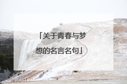 关于青春与梦想的名言名句