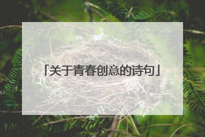 关于青春创意的诗句