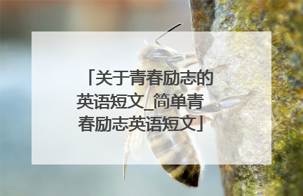 关于青春励志的英语短文_简单青春励志英语短文