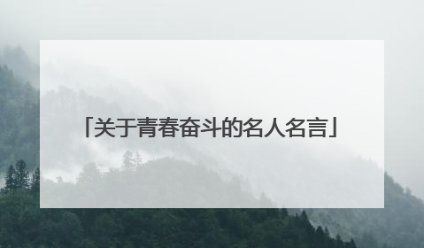 关于青春奋斗的名人名言