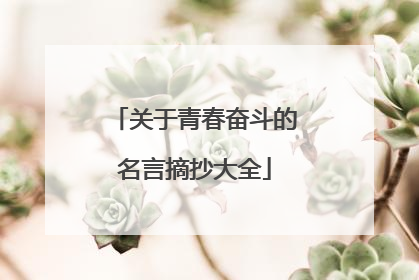 关于青春奋斗的名言摘抄大全
