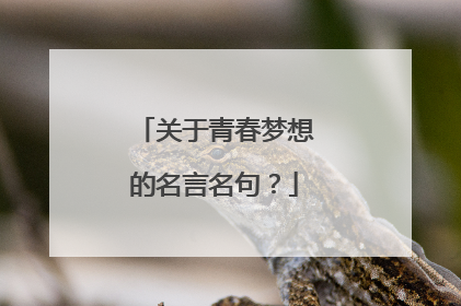 关于青春梦想的名言名句？