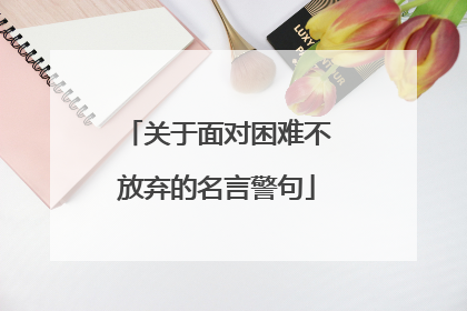 关于面对困难不放弃的名言警句