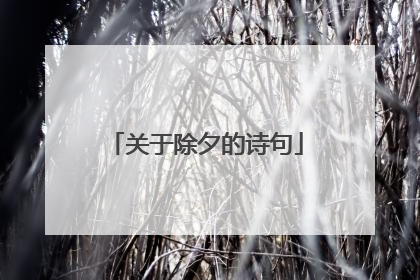 关于除夕的诗句
