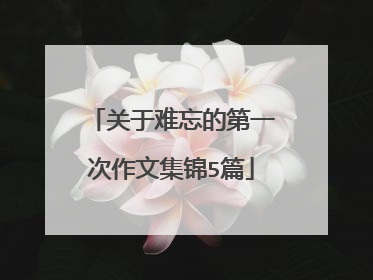 关于难忘的第一次作文集锦5篇