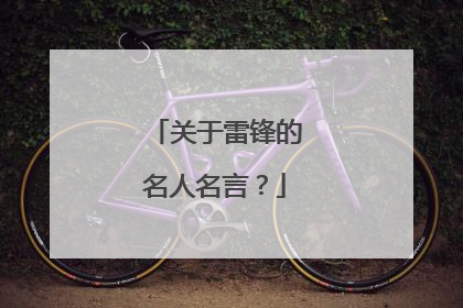 关于雷锋的名人名言？