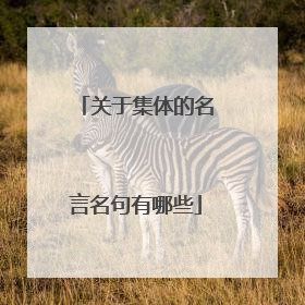 关于集体的名言名句有哪些