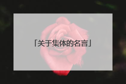 关于集体的名言