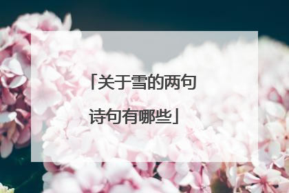 关于雪的两句诗句有哪些