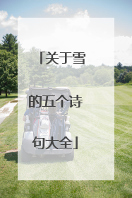 关于雪的五个诗句大全