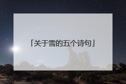 关于雪的五个诗句