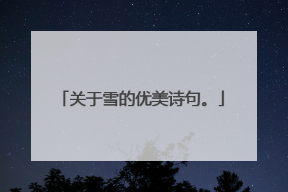 关于雪的优美诗句。