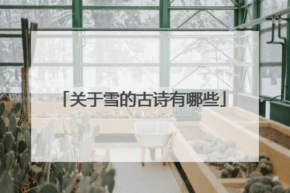 关于雪的古诗有哪些