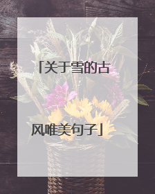 关于雪的古风唯美句子