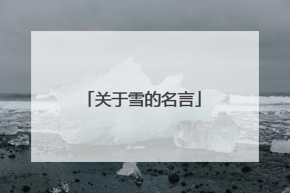 关于雪的名言