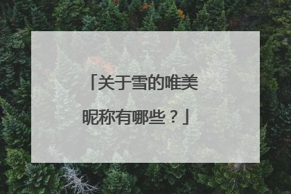 关于雪的唯美昵称有哪些?