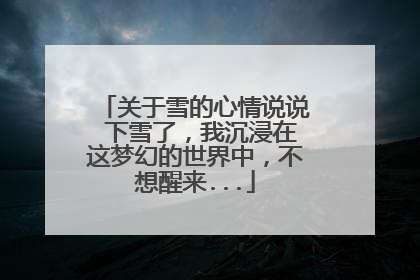 关于雪的心情说说 下雪了,我沉浸在这梦幻的世界中,不想醒来...