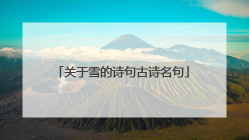 关于雪的诗句古诗名句