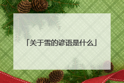 关于雪的谚语是什么