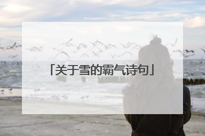 关于雪的霸气诗句
